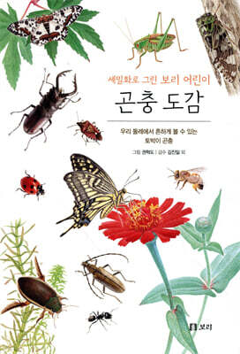 곤충 도감 : 세밀화로 그린 보리 어린이 도감