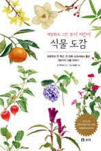 식물 도감 : 세밀화로 그린 보리 어린이 도감