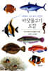 바닷물고기 도감 : 세밀화로 그린 보리 어린이 도감