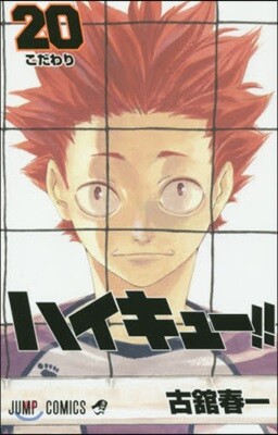 ハイキュ-!! 20