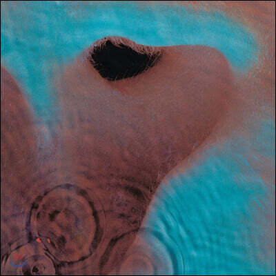 Pink Floyd (핑크 플로이드) - Meddle