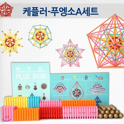 매직트리 용의 그림자 상 - 아무도 못 말리는 책읽기 시리즈 019
