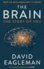 The Brain