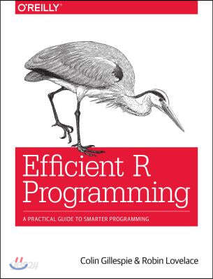 Efficient R Programming: A Practical Guide to Smarter Programming