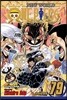 One Piece, Vol. 79