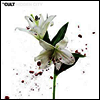 Cult - Hidden City (Gatefold Cover)(2LP)