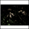 Anneli Drecker - Rocks & Straws (LP+CD)