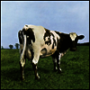 Pink Floyd - Atom Heart Mother (Digipack)(CD)