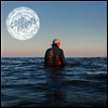 Cold Fronts - Forever Whatever (Ltd. Ed)(Download Card)(White Colored)(Vinyl LP)