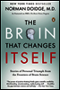 The Brain That Changes Itself