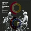 Caetano Veloso & Gilberto Gil - Two Friends, A Century Of Music