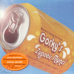 Gorky's Zygotic Mynci - How I Long To Feel That Summer In My Heart