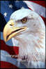 Jennie's American Short Stories