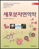 세포분자면역학