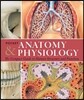 Pocket Anatomy & Physiology: The Compact Guide to the Human Body and How It Works