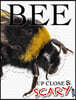 Up Close & Scary Bee