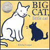 Big Cat, Little Cat