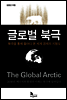 글로벌 북극