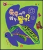 호기심 톡톡 과학동화 15 쑥쑥 자라 뭐가 될까?
