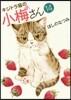 キジトラ猫の小梅さん  14