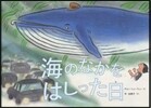 海のなかをはしった日