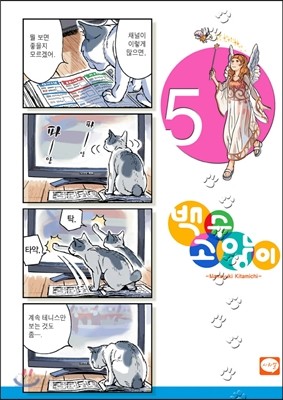 백수 고양이 5