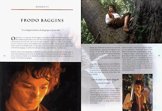 The Fellowship of the Ring