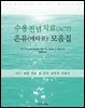 수용전념치료(ACT) 은유(메타포) 모음집 : ACT 체험 연습 및 은유 실무자 지침서