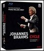 Franz Welser-Most 브람스 사이클: 교향곡 전곡, 협주곡, 서곡, 변주곡 - 프란츠 뵐저-뫼스트 (Brahms Cycle: Symphonies, Concertos, Overtures, Variations)