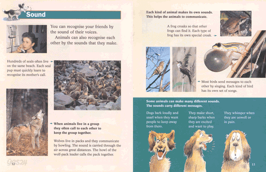 (Information Books) Animal Communication : advanced