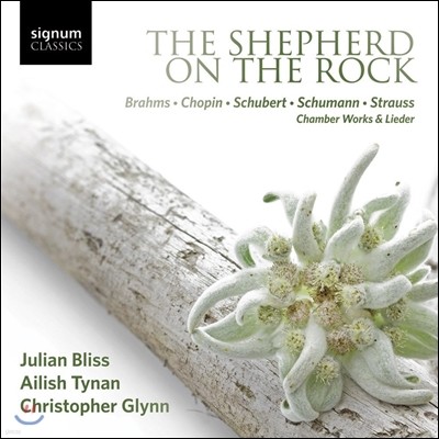 Ailish Tynan / Julian Bliss 바위 위의 목동 - 브람스 / 쇼팽 / 슈베르트 / 슈만 / 슈트라우스: 실내악과 가곡집 (The Shepherd on the Rock - Chamber Works & Lieder)
