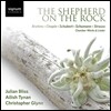 Ailish Tynan / Julian Bliss 바위 위의 목동 - 브람스 / 쇼팽 / 슈베르트 / 슈만 / 슈트라우스: 실내악과 가곡집 (The Shepherd on the Rock - Chamber Works & Lieder)