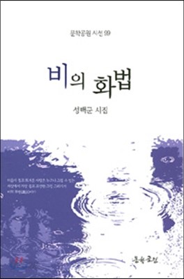 비의 화법