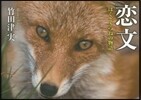 戀文 ぼくときつねの物語