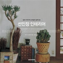 선인장 인테리어