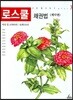 로스쿨 채권법 (계약편)