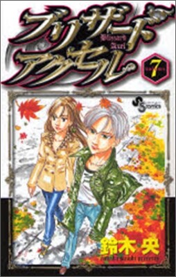 ブリザ-ドアクセル 7