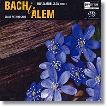 바흐 : 오르간 작품과 코랄 (SACD)