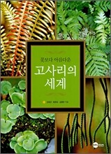 고사리의 세계