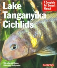 Lake Tanganyika Cichlids