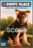 The Puppy Place #7: Scout