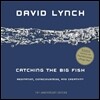Catching the Big Fish: Meditation, Consciousness, and Creativity