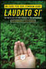 On Care for Our Common Home, Laudato Si': The Encyclical of Pope Francis on the Environment with Commentary by Sean McDonagh