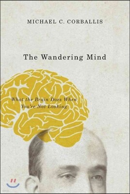 The Wandering Mind: What the Brain Does When You're Not Looking