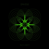 David Geyra - Slo Light (2LP)