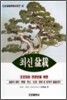 최신 분재