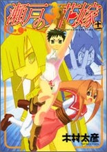 瀨戶の花嫁 11