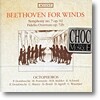 Ensemble Octophoros 베토벤: 교향곡 7번, 피델리오 서곡 [목관 9중주 버전)] (Beethoven for Winds)