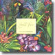 Tim Mac Brian - The Very Best of: Emerald Forest