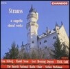 Stefan Parkman 리하르트 슈트라우스: 무반주 합창 작품집 (R. Strauss: A Cappella Choral Works - Lieder Op.34, Deutsche Motette Op.62, An den Baum Daphne)